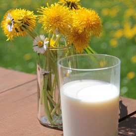 Glampingunterkunft: Urlaub auf dem Bauernhof. Auf unserem vollbewirtschafteten Milchviehbetrieb können Sie das Melken und Füttern täglich miterleben. - Zirkuswagen auf dem Ur Laub`s Hof